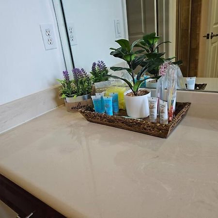 D&N Property Rental ميامي المظهر الخارجي الصورة